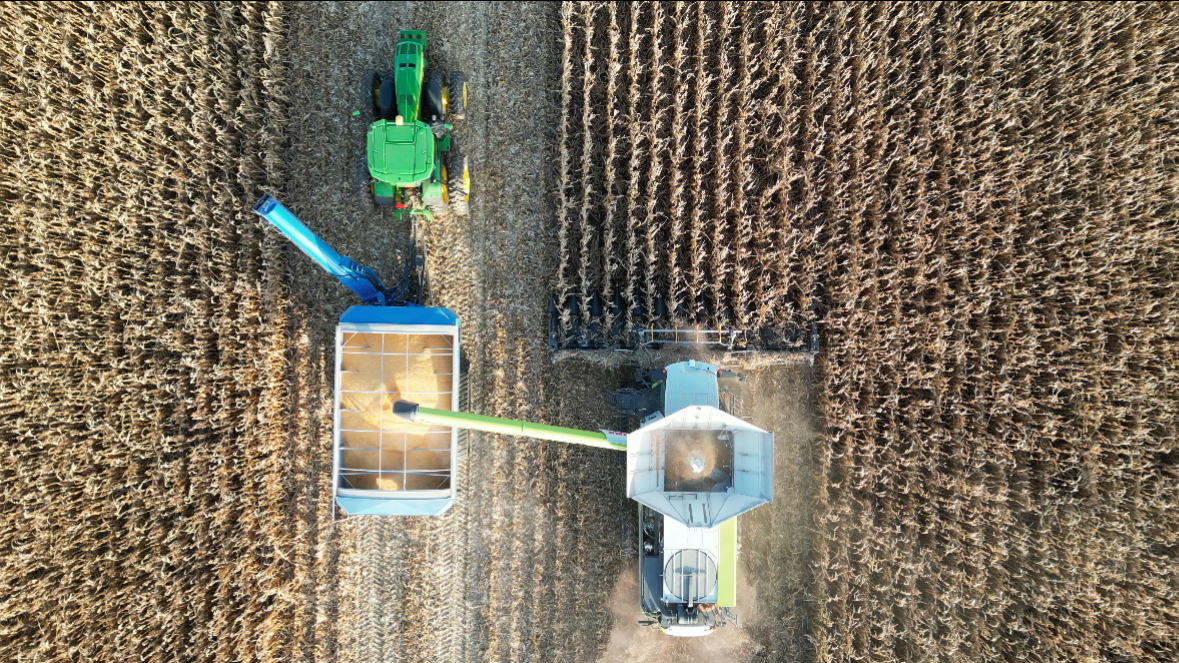 Cream of the Crop Winning Picture - Harvest