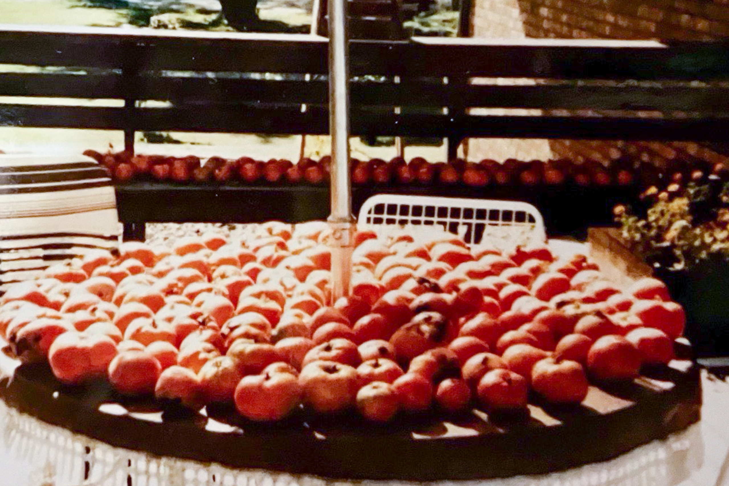 Treasurer Michael Frerichs on his first day of school